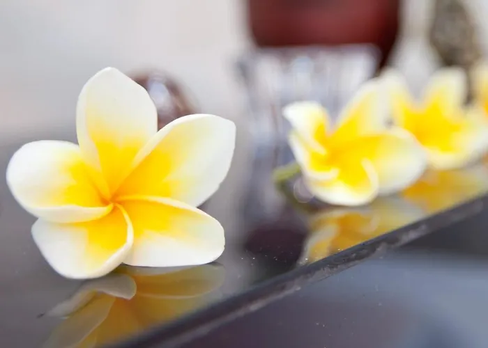 Villa Ganesha Seminyak (Bali)